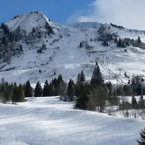 les-amborzales.hotels-rhonealpes.com/